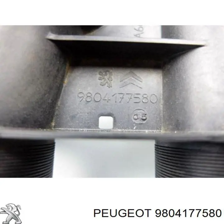 9804177580 Peugeot/Citroen tubo flexible de aire de sobrealimentación