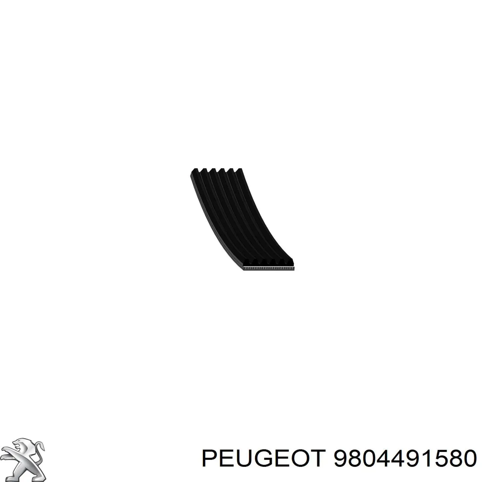 9804491580 Peugeot/Citroen correa trapezoidal