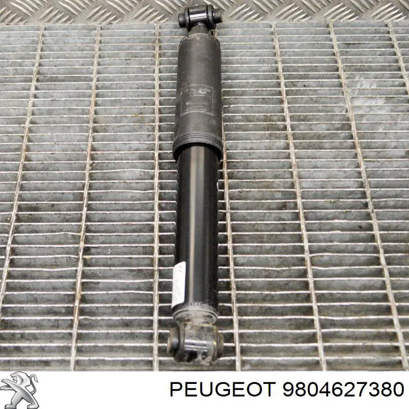9804627380 Peugeot/Citroen 