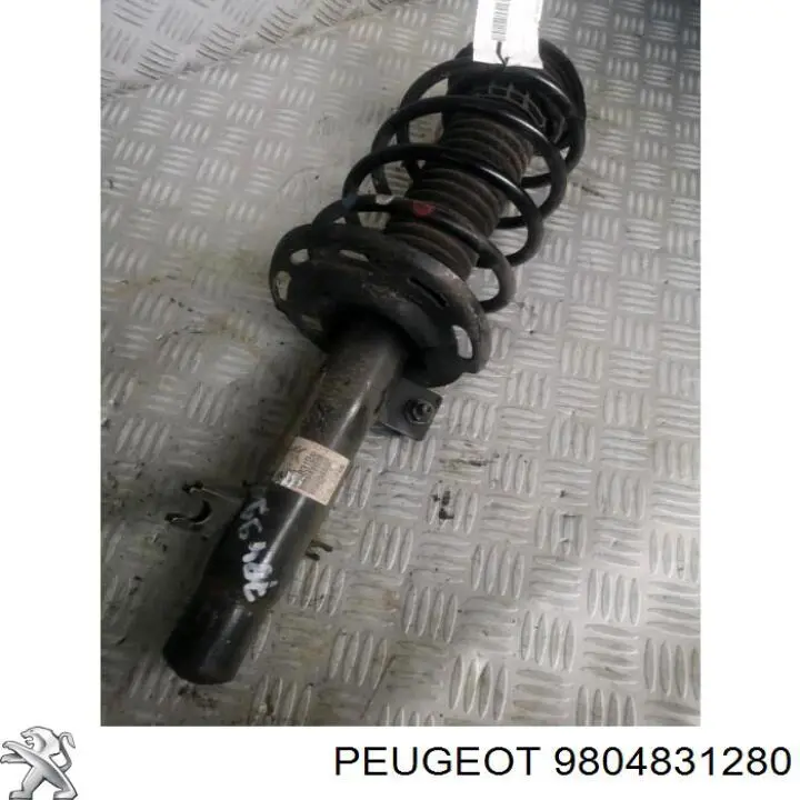 Comprar 9804831280 Peugeot/Citroen Amortiguador delantero derecho