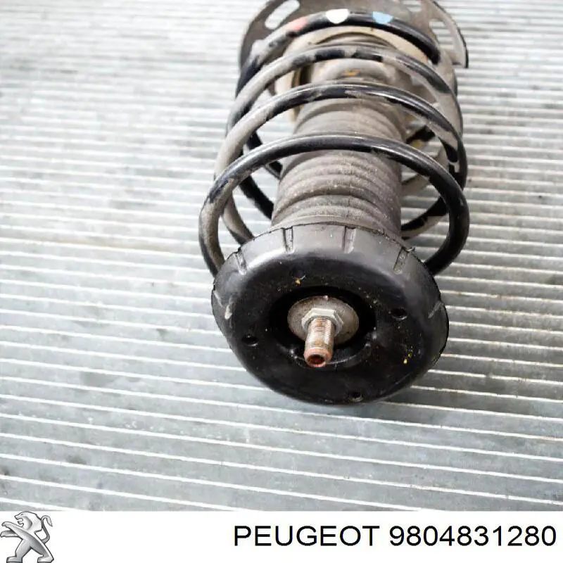 Amortiguador delantero derecho Peugeot/Citroen 9804831280 precio, desde 59,95 EUR