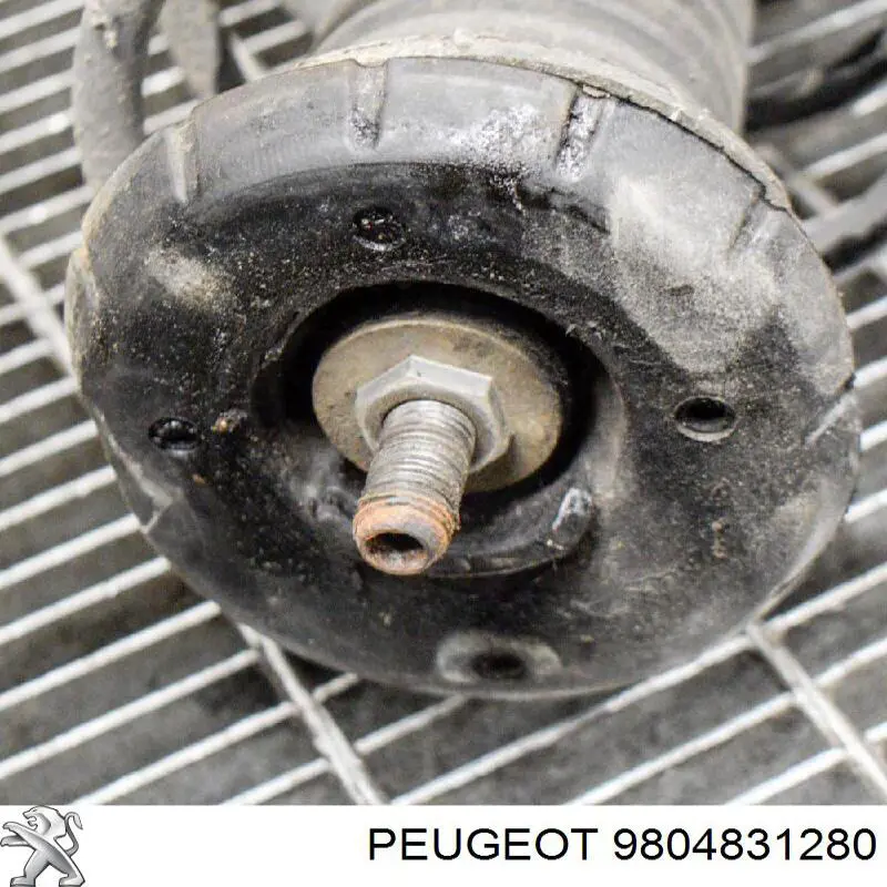 Amortiguador delantero derecho 9804831280 Peugeot/Citroen