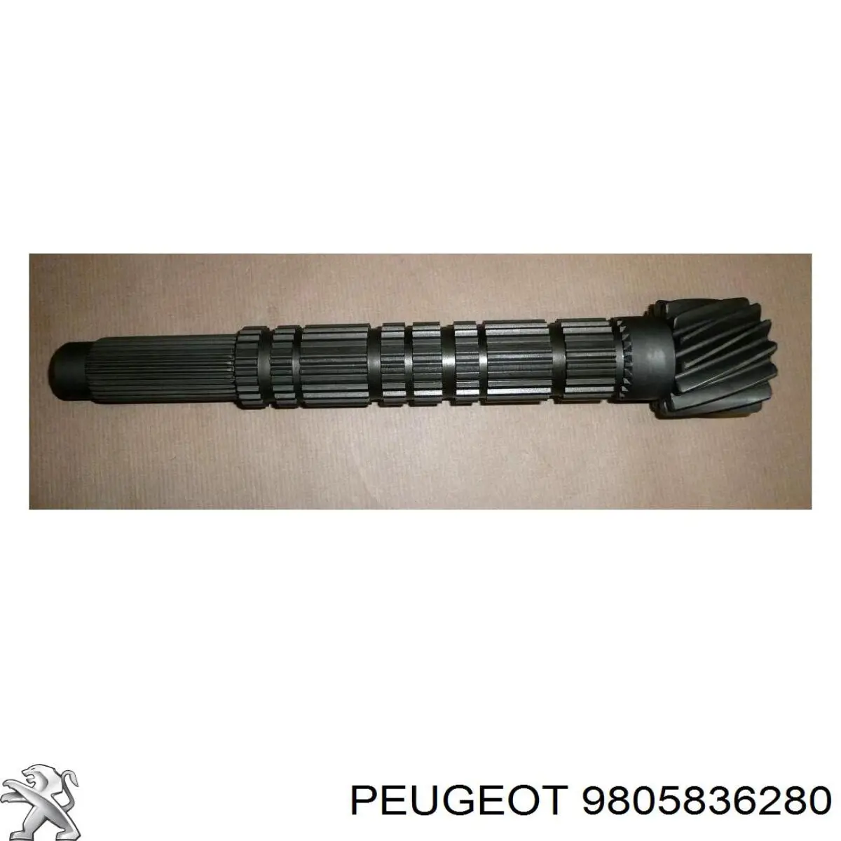Eje primario de la caja de cambios Peugeot/Citroen 9805836280 precio, desde 262,98 EUR