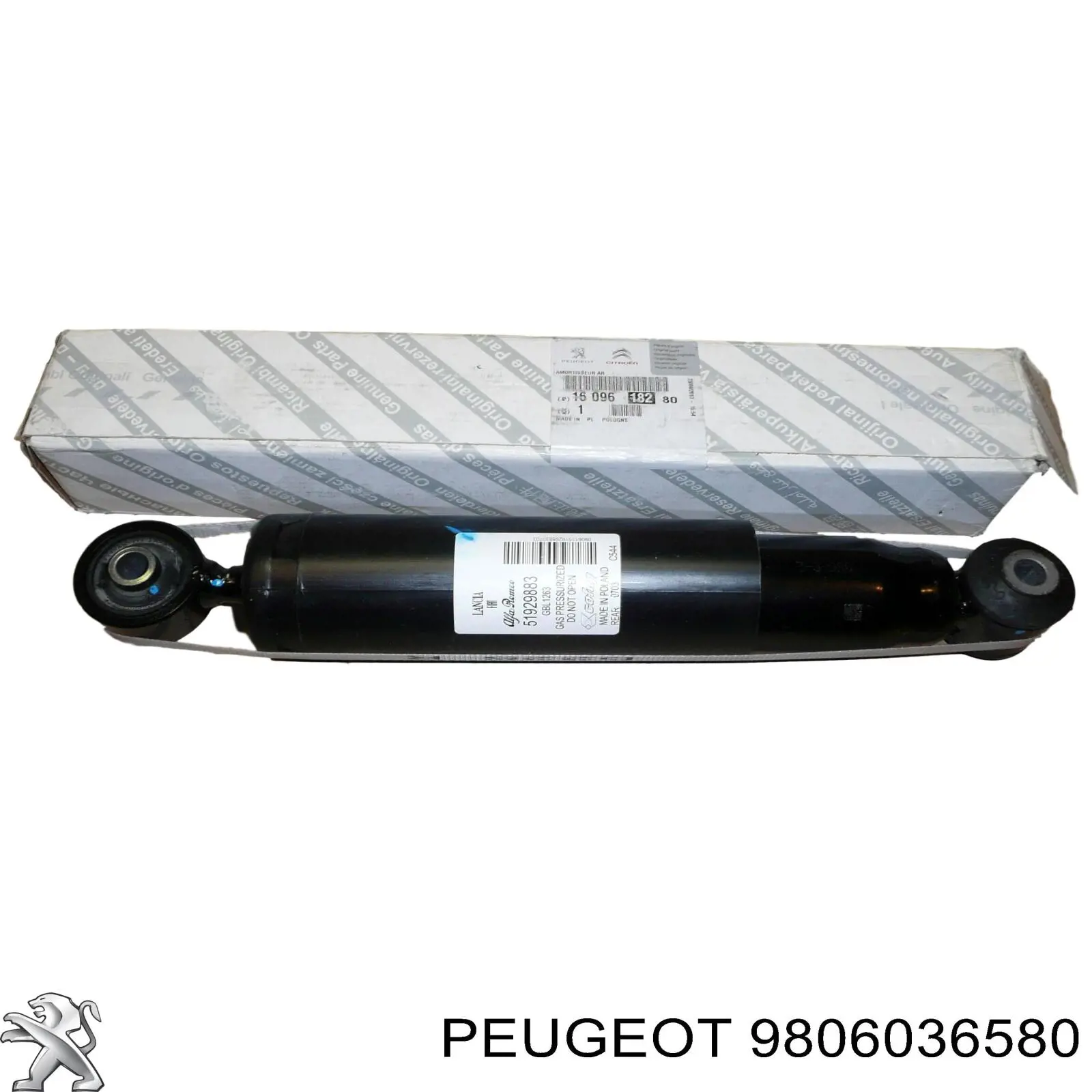 9806036580 Peugeot/Citroen