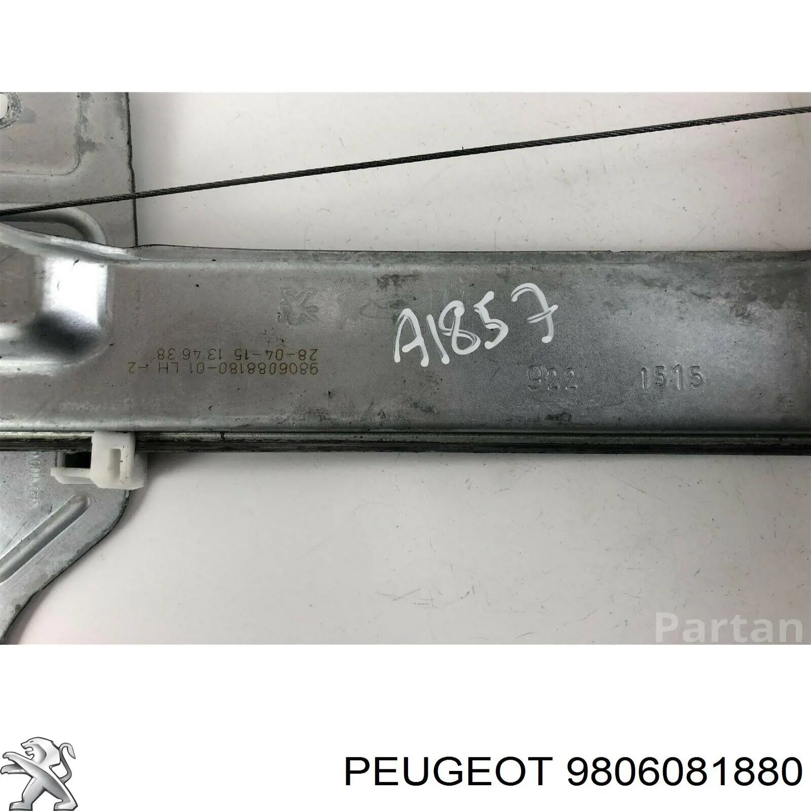  Peugeot/Citroen 9806081880 precio, desde 63,89 EUR