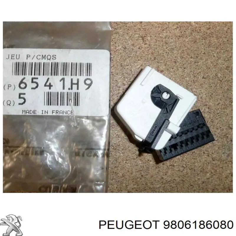 9806186080 Peugeot/Citroen 