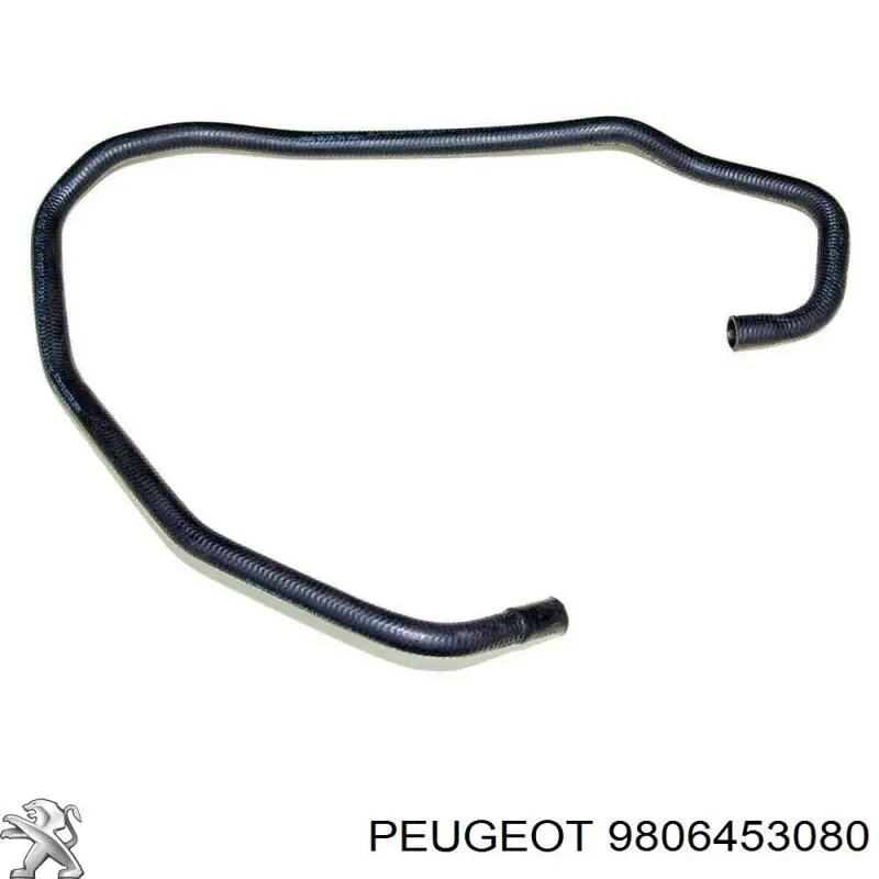 9806453080 Peugeot/Citroen 