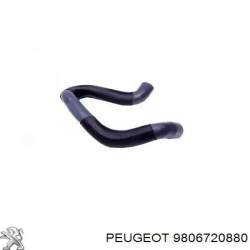 9806720880 Peugeot/Citroen Manguera del intercooler