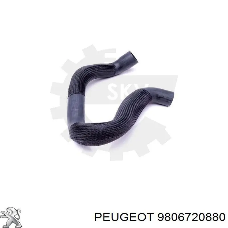 Manguera del intercooler Peugeot/Citroen 9806720880 precio, desde 89,07 EUR