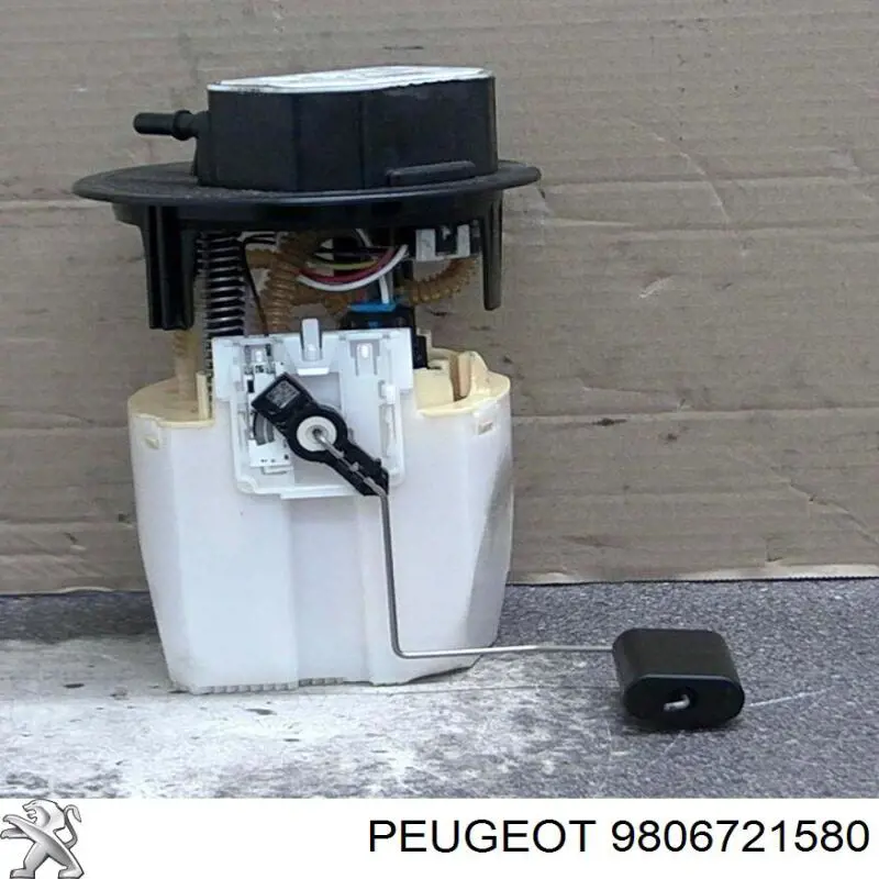 9806721580 Peugeot/Citroen 