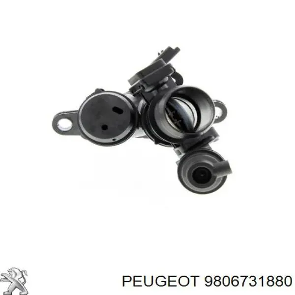 Comprar 9806731880 Peugeot/Citroen Cuerpo de mariposa