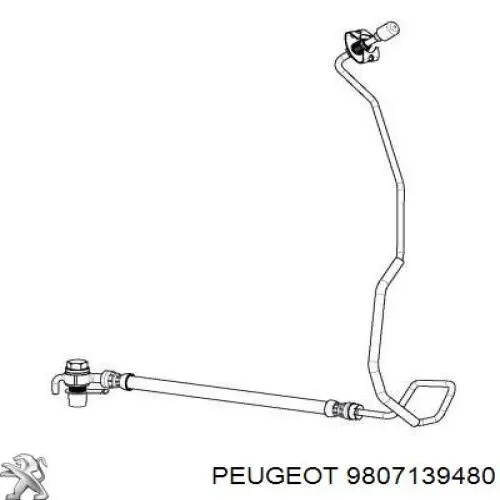 Latiguillos de freno trasero derecho 9811592780 Peugeot/Citroen