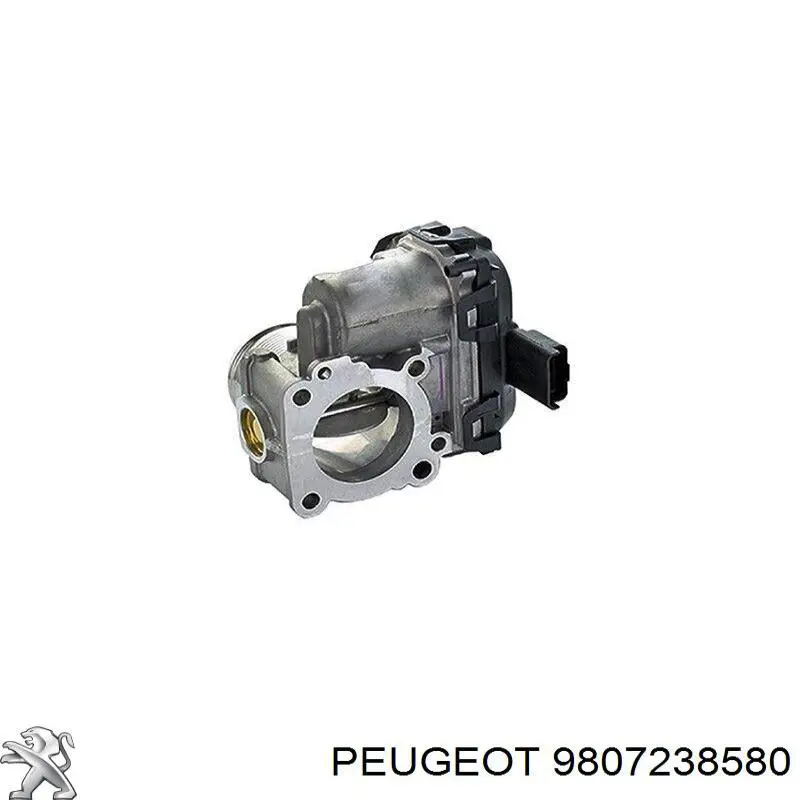 9807238580 Peugeot/Citroen Mariposa de admisión