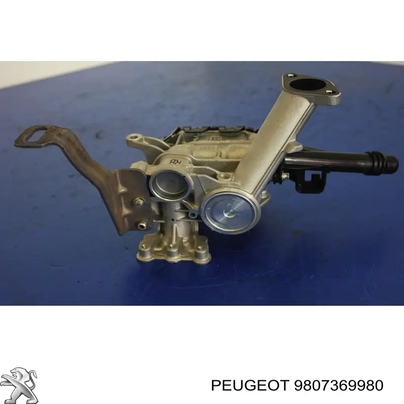 9807369980 Peugeot/Citroen Válvula EGR