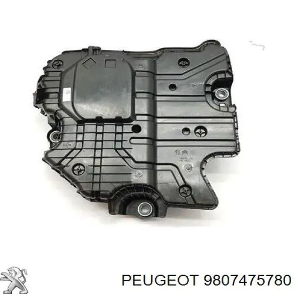 9807475780 Peugeot/Citroen Deposito de urea