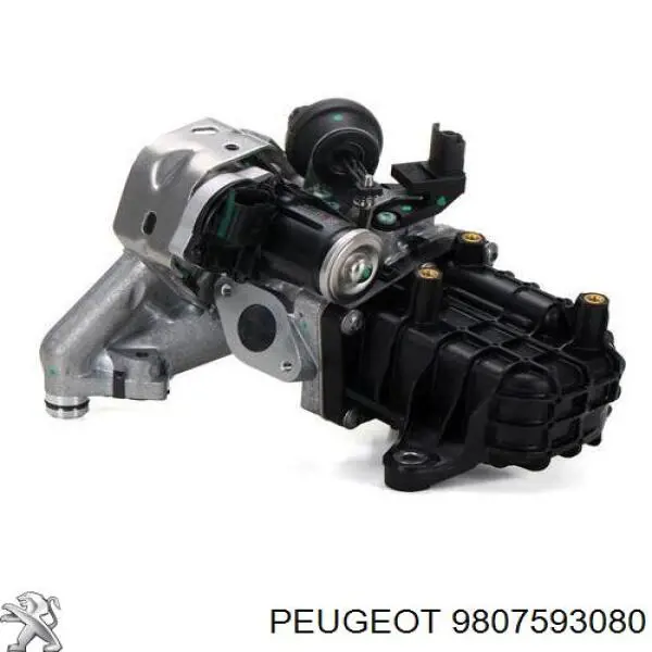 Comprar 9807593080 Peugeot/Citroen Válvula EGR
