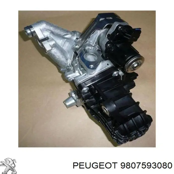 9807593080 Peugeot/Citroen válvula egr