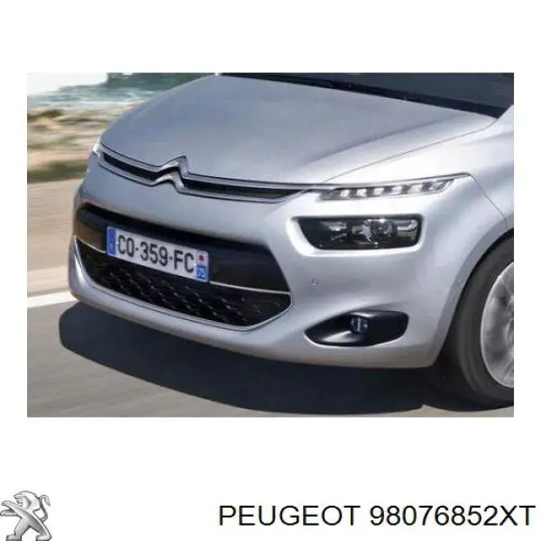 98076852XT Peugeot/Citroen