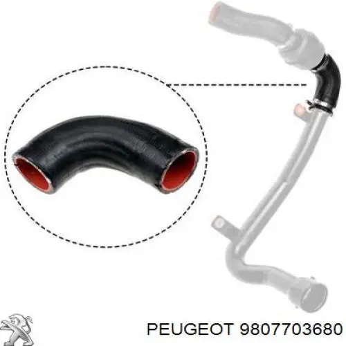 9807703680 Peugeot/Citroen Tubo de suministro de aceite a la turbina