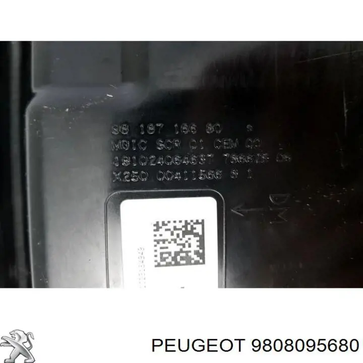Comprar 9808095680 Peugeot/Citroen Deposito AdBlue