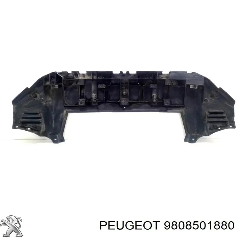 9808501880 Peugeot/Citroen