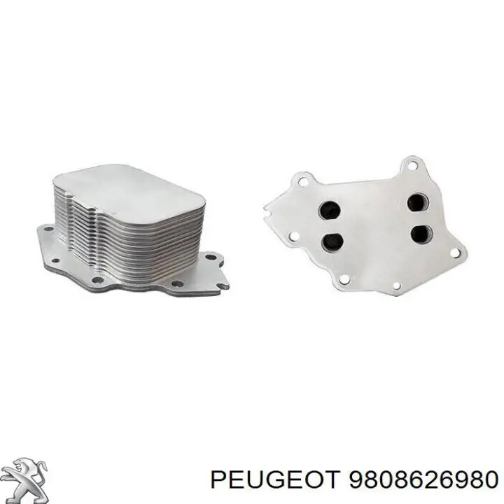  9808626980 Peugeot/Citroen