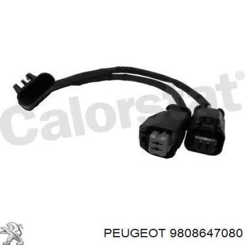 Caja termostato Peugeot/Citroen 9808647080