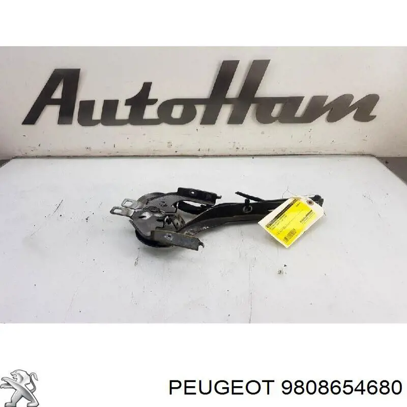 9823133980 Peugeot/Citroen