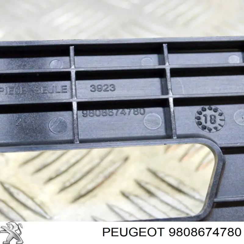 Montaje De Bateria (Soporte) Peugeot/Citroen 9808674780 precio, desde 57,98 USD