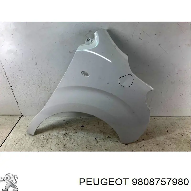 Aleta 9808757980 Peugeot/Citroen