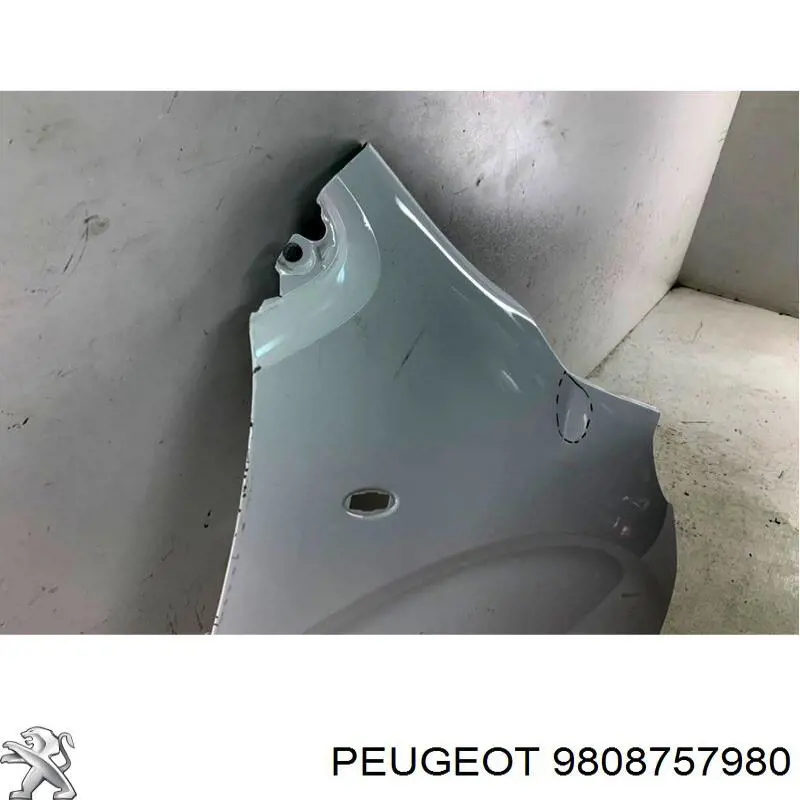 Aleta delantera derecha Peugeot/Citroen 9808757980