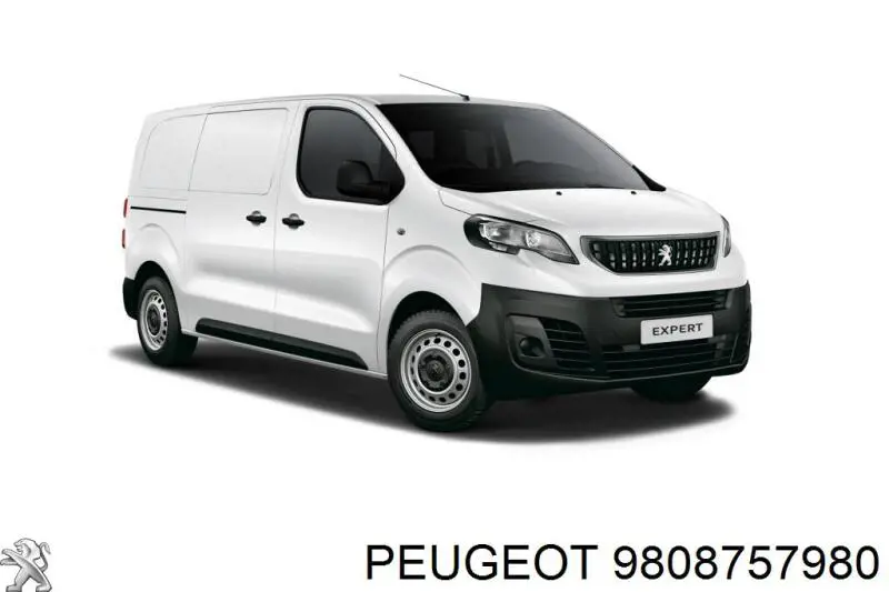 9808757980 Peugeot/Citroen Aleta delantera