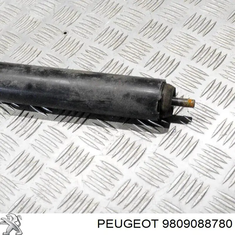 Amortiguador trasero Peugeot/Citroen 9809088780 precio, desde 43,04 EUR