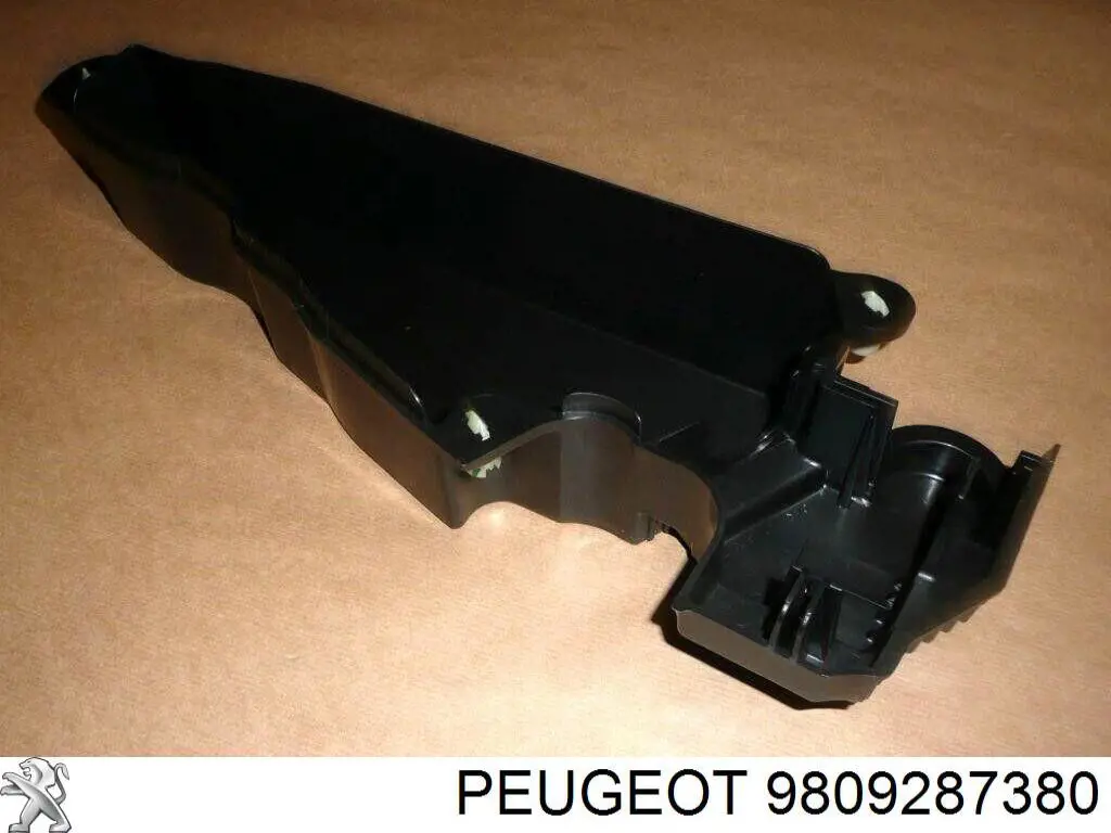 9809287380 Peugeot/Citroen