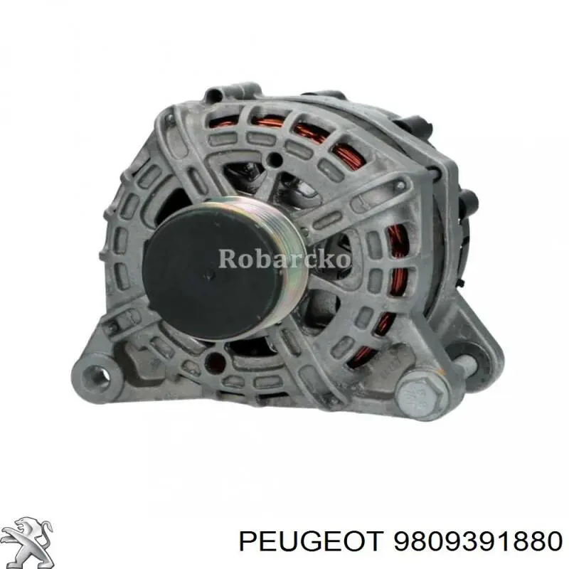 9809391880 Peugeot/Citroen alternador