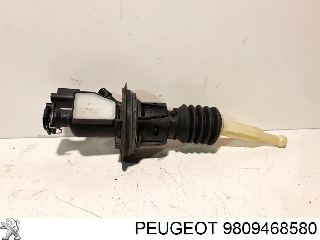 9809468580 Peugeot/Citroen
