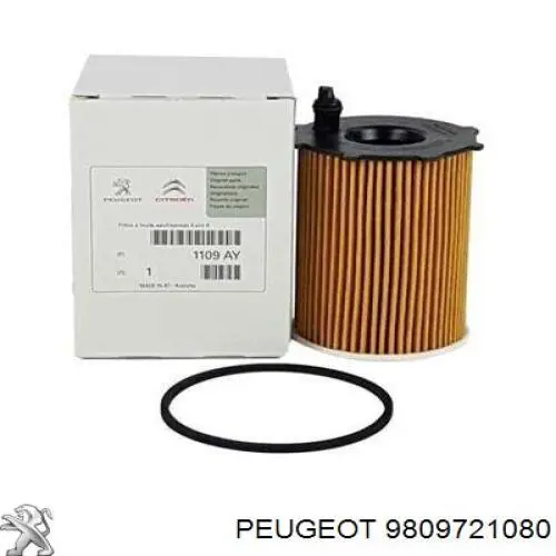 9809721080 Peugeot/Citroen Filtro de gasolina