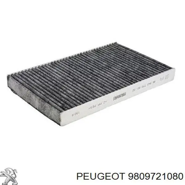Comprar 9809721080 Peugeot/Citroen Filtro diesel