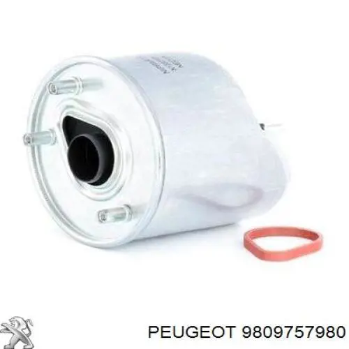 9809757980 Peugeot/Citroen caja, filtro de combustible