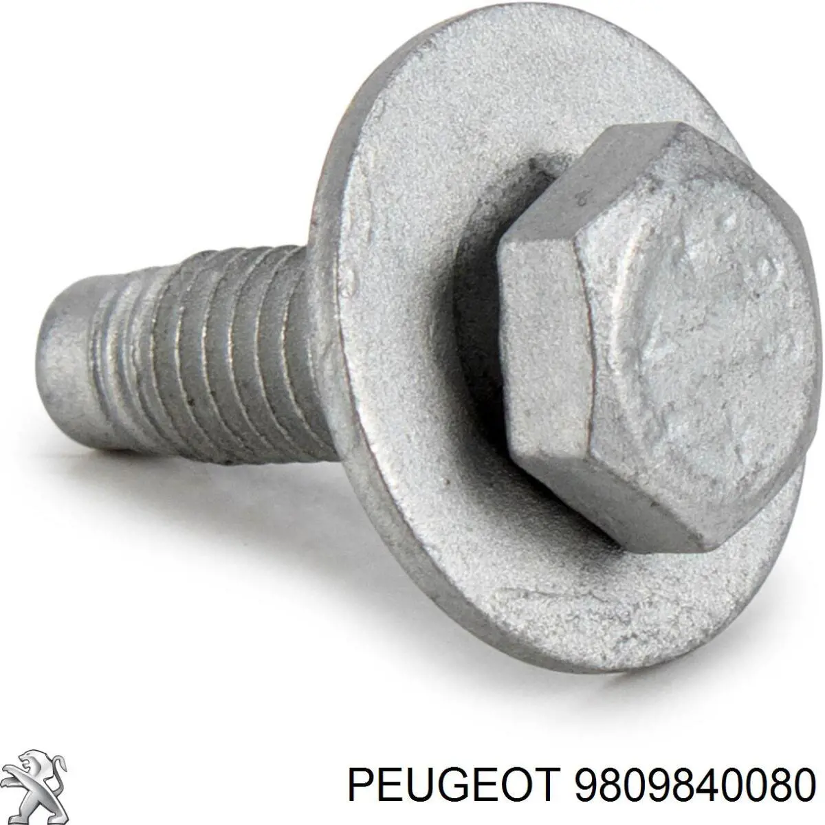 Peugeot/Citroen 9809840080 precio, desde 2,00 EUR