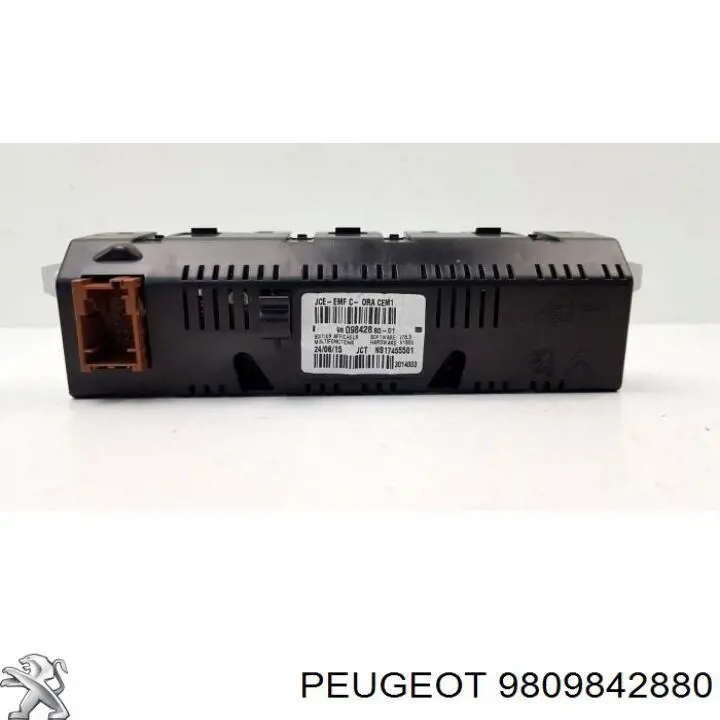 Comprar 9809842880 Peugeot/Citroen 