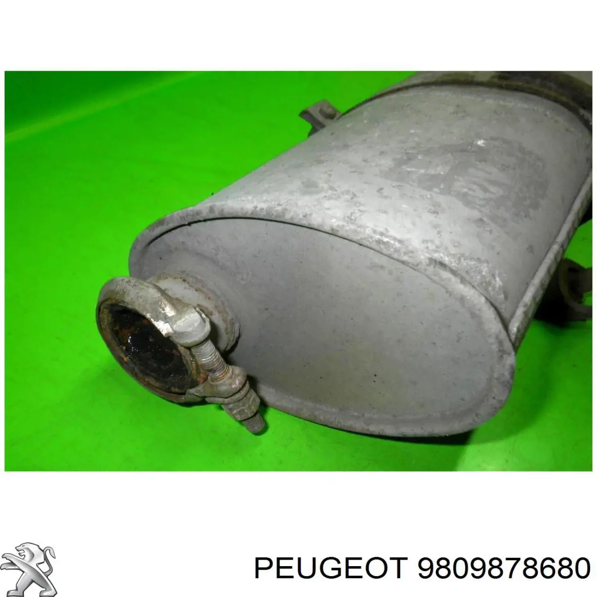 9809878680 Peugeot/Citroen