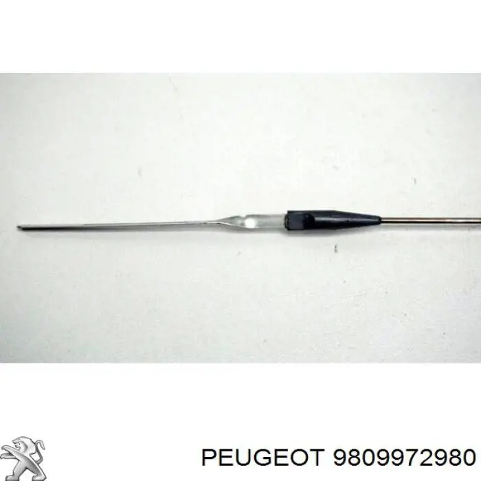 9809972980 Peugeot/Citroen 