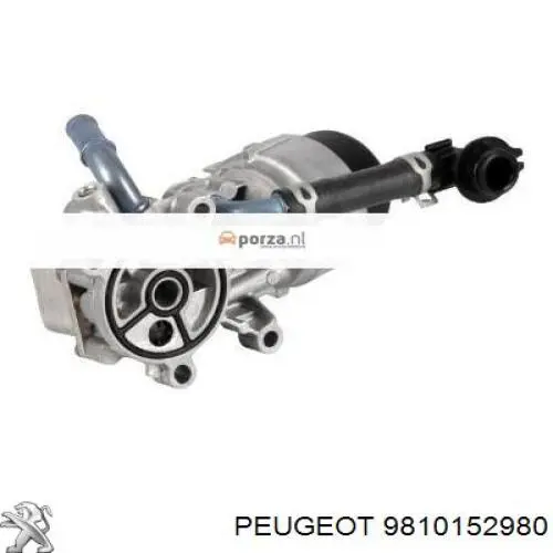 9810152980 Peugeot/Citroen radiador de aceite, bajo de filtro