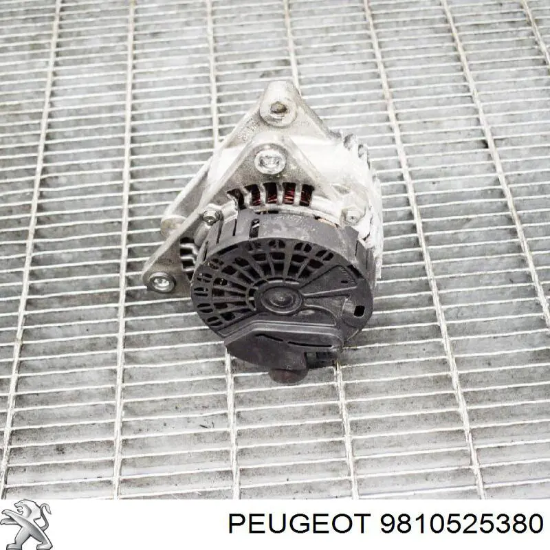 9810525380 Peugeot/Citroen alternador