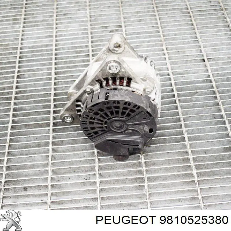 Alternador del motor Peugeot/Citroen 9810525380 precio, desde 61,71 EUR