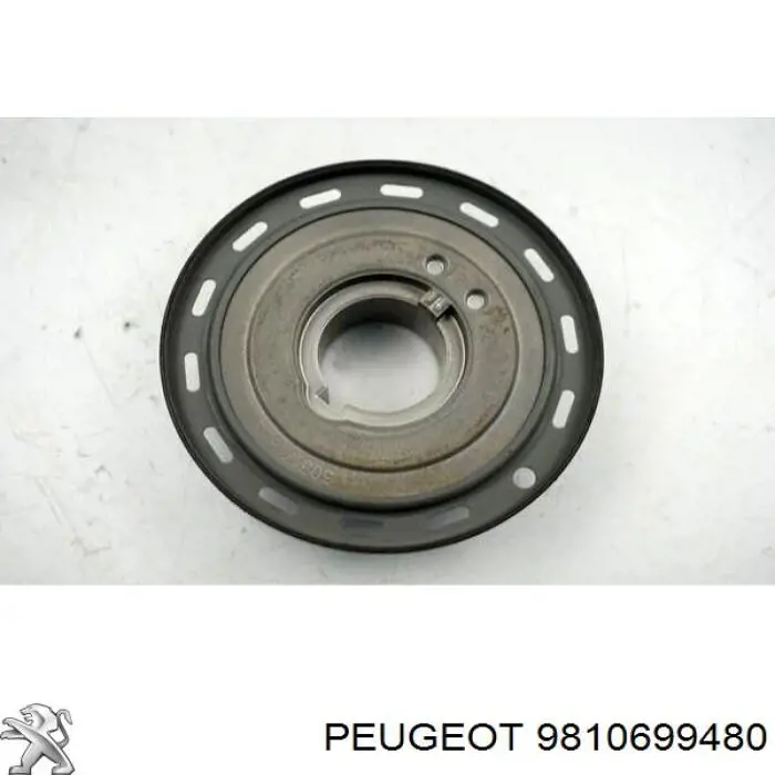 9836631480 Peugeot/Citroen Dámper