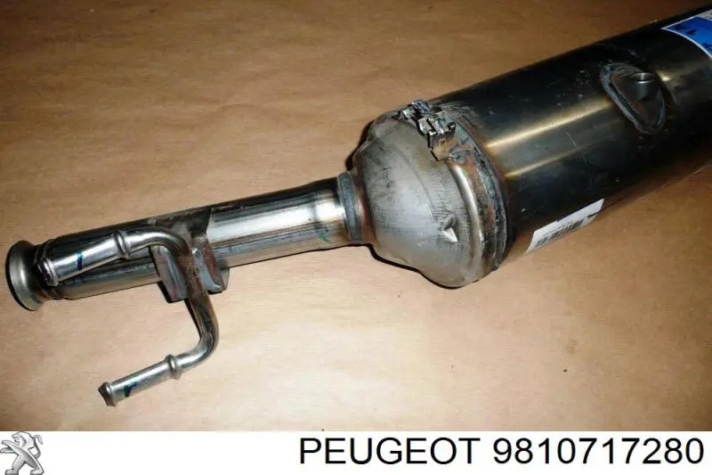 9810717180 Peugeot/Citroen 