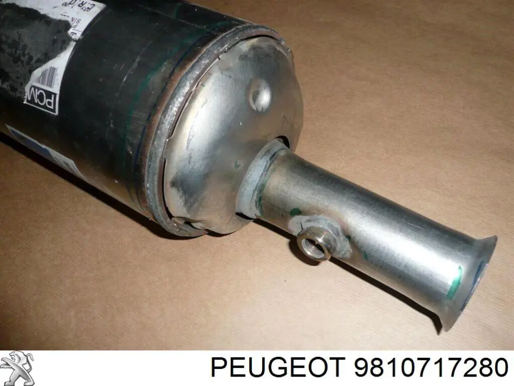  Peugeot/Citroen 9810717180 precio, desde 559,02 EUR