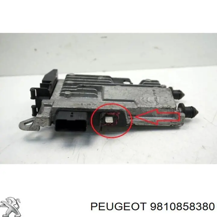 Estabilizador de voltaje 9810858380 Peugeot/Citroen